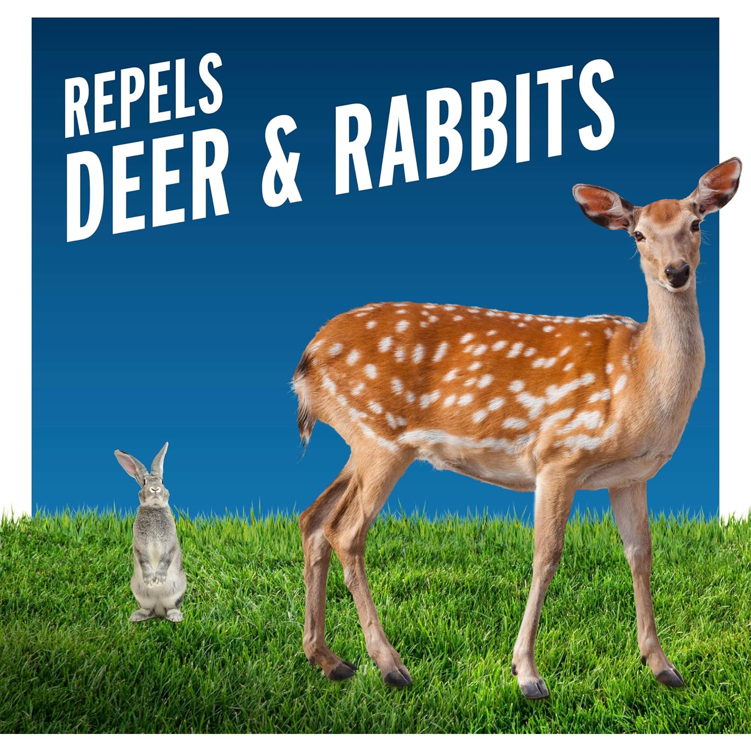 Liquid Fence Deer And Rabbit Repellent Concentrate 40 Ounces, Apply Year-Round