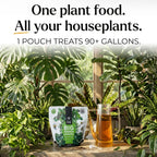 Big Green Leaves Indoor Plant Food – 4X Concentrated Fertilizer, 1 Lb | Fast-Acting Mineral + Organic Sea Kelp Formula. Makes 90 Gallons Of Liquid Fertilizer For Thriving Houseplants.