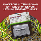Sedgehammer Plus Turf Solution 13.5Grams – Powerful Nutsedge Control For Lawns, Golf Courses, & Sports Fields – Reliable Vegetation Management Solution