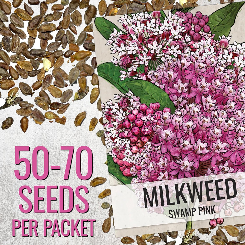 Seed Needs Milkweed Seeds For Planting A Butterfly Garden To Attract Monarch Butterflies - Collection Of Pink, Orange & White Asclepias Milk Weed Variety Pack (5 Packs)