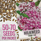 Seed Needs Milkweed Seeds For Planting A Butterfly Garden To Attract Monarch Butterflies - Collection Of Pink, Orange & White Asclepias Milk Weed Variety Pack (5 Packs)