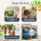Organic Plant Magic Fertilizer & Plant Food For House Plants & Garden 1/2Lb | Makes 32+ Gallons Of Organic Fertilizer, Plant Food For Vegetables Flowers Herbs Trees Outdoor & Indoor House Plants & Garden