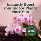 Miracle-Gro Indoor Plant Food Mist For Orchids, 8 Fl. Oz. (2-Pack) | Orchid Plant Food