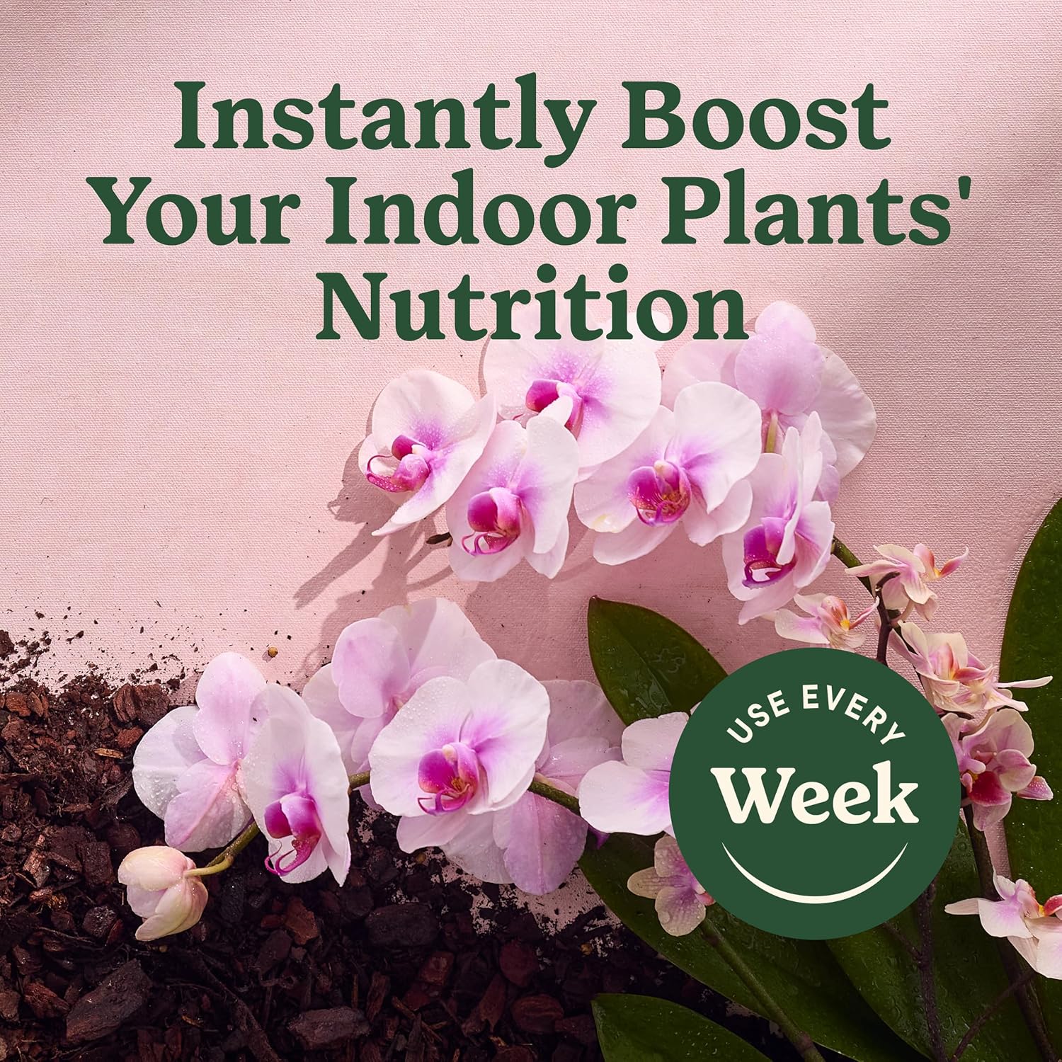 Miracle-Gro Indoor Plant Food Mist For Orchids, 8 Fl. Oz. (2-Pack) | Orchid Plant Food