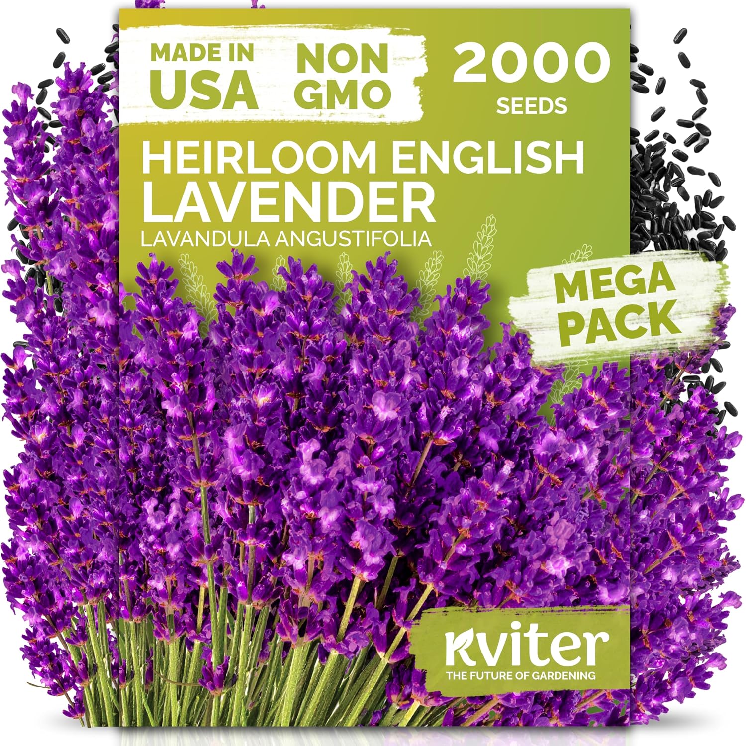2000 English Lavender Seeds For Planting Outdoor & Indoor (Lavandula Angustifolia) – True Lavender Flowers, Heirloom Perennial, Non-Gmo – Herb Seeds For Outdoor Garden, Flower Beds