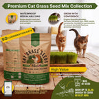 Cat Grass Seeds Mix - 20,800 Non-Gmo Heirloom Seeds For Cats & Pets, 16 Oz Pack For Growing Fresh Barley, Oat, Rye & Wheat Grass Seeds For Planting, Indoor Plants, Hairball Remedy