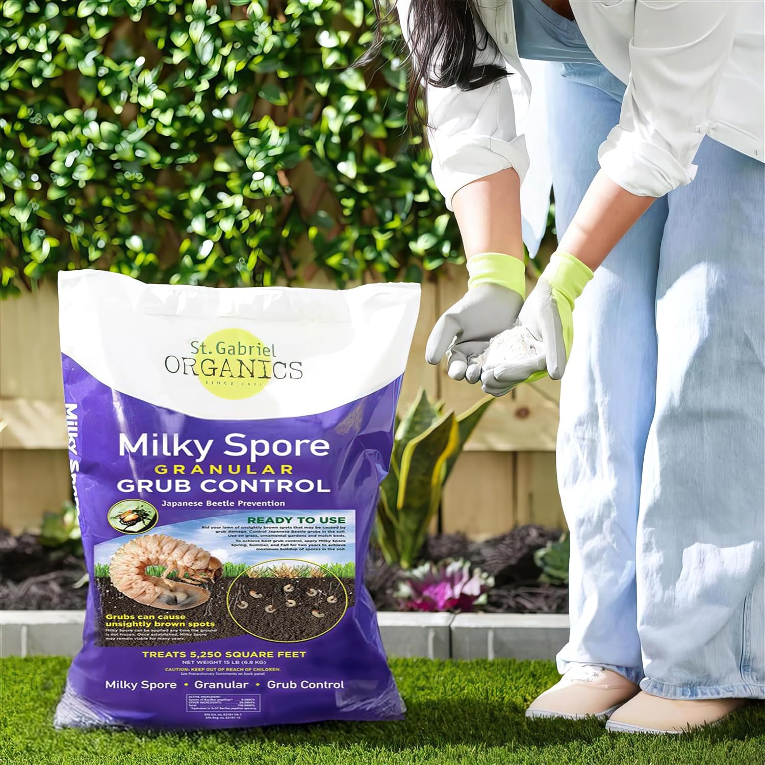 St. Gabriel Organics - 15 Pound Milky Spore Granular Natural Japanese Beetle Grub Control And Repellent For Lawn And Garden Care