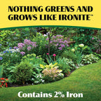 Ironite Plus Shrubs, Trees Plant Food Bag Granular 12-10-10 3Lb