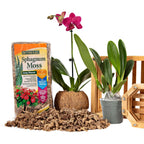 Better-Gro Sphagnum Moss - 100% Natural, Long-Fiber Moss For Orchids, Ferns, And Hostas, Excellent For Hanging Baskets And Propagating Plants - 240 Cubic Inches