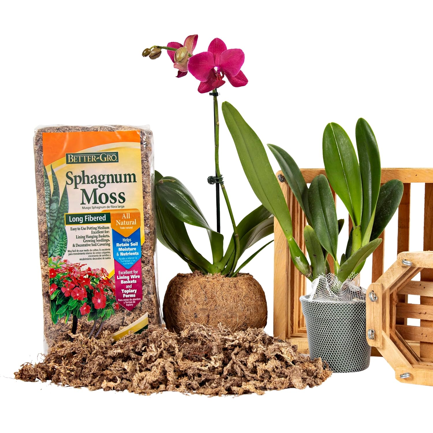 Better-Gro Sphagnum Moss - 100% Natural, Long-Fiber Moss For Orchids, Ferns, And Hostas, Excellent For Hanging Baskets And Propagating Plants - 240 Cubic Inches