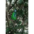 Pino Silvestre Original By Pino Silvestre For Men - A Men's Eau De Toilette Cologne Perfume Spray With A Million Dollar Fragrance - An Extreme Pheromone For The Classic Man In Your Life - 4.2 Oz