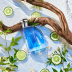 Nautica Blue Eau De Toilette 3.4 Fl Oz (Pack Of 1), Notes Of Basil, Jasmine, And Cedarwood, Men'S Fragrance, Long Lasting, Everyday Fragrance, Travel Size