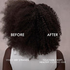 Nexxus Therappe Humectress Shampoo Conditioner 2 Count For Ultimate Moisture For Dry Hair Powered By Polysoft Hydrator Technology With Tri-Lipids 33.8 Fl Oz