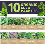Organic Herb Seeds Variety Pack - 10 Individual Packs - 2026 Season - Basil, Cilantro, Dill, Thyme, Parsley And More! For Indoor & Outdoor Planting (Non-Gmo, Certified Organic)