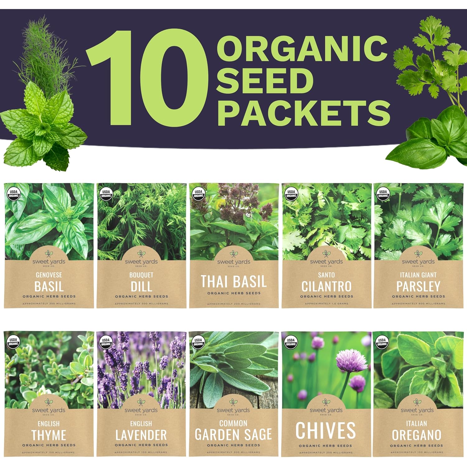 Organic Herb Seeds Variety Pack - 10 Individual Packs - 2026 Season - Basil, Cilantro, Dill, Thyme, Parsley And More! For Indoor & Outdoor Planting (Non-Gmo, Certified Organic)