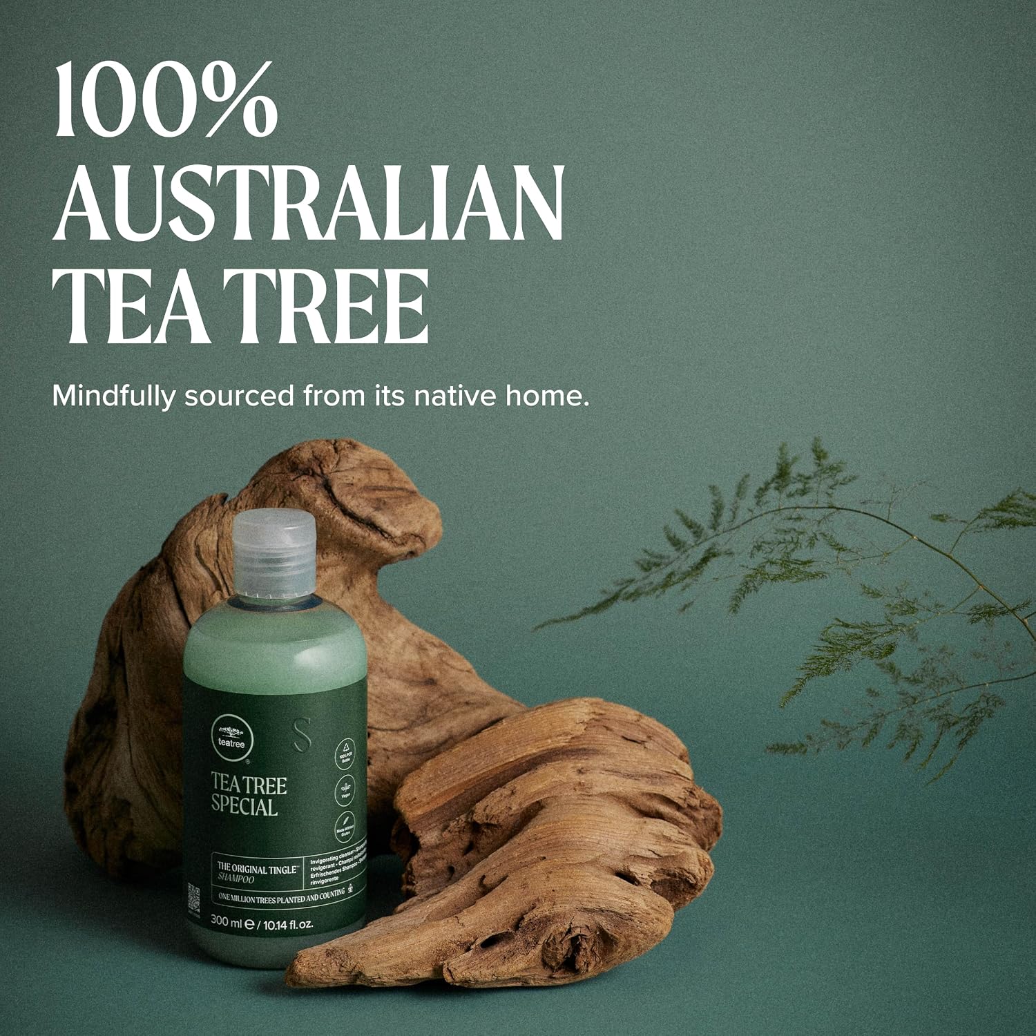 Tea Tree Special Shampoo, Deep Cleans, Refreshes Scalp, For All Hair Types, Especially Oily Hair