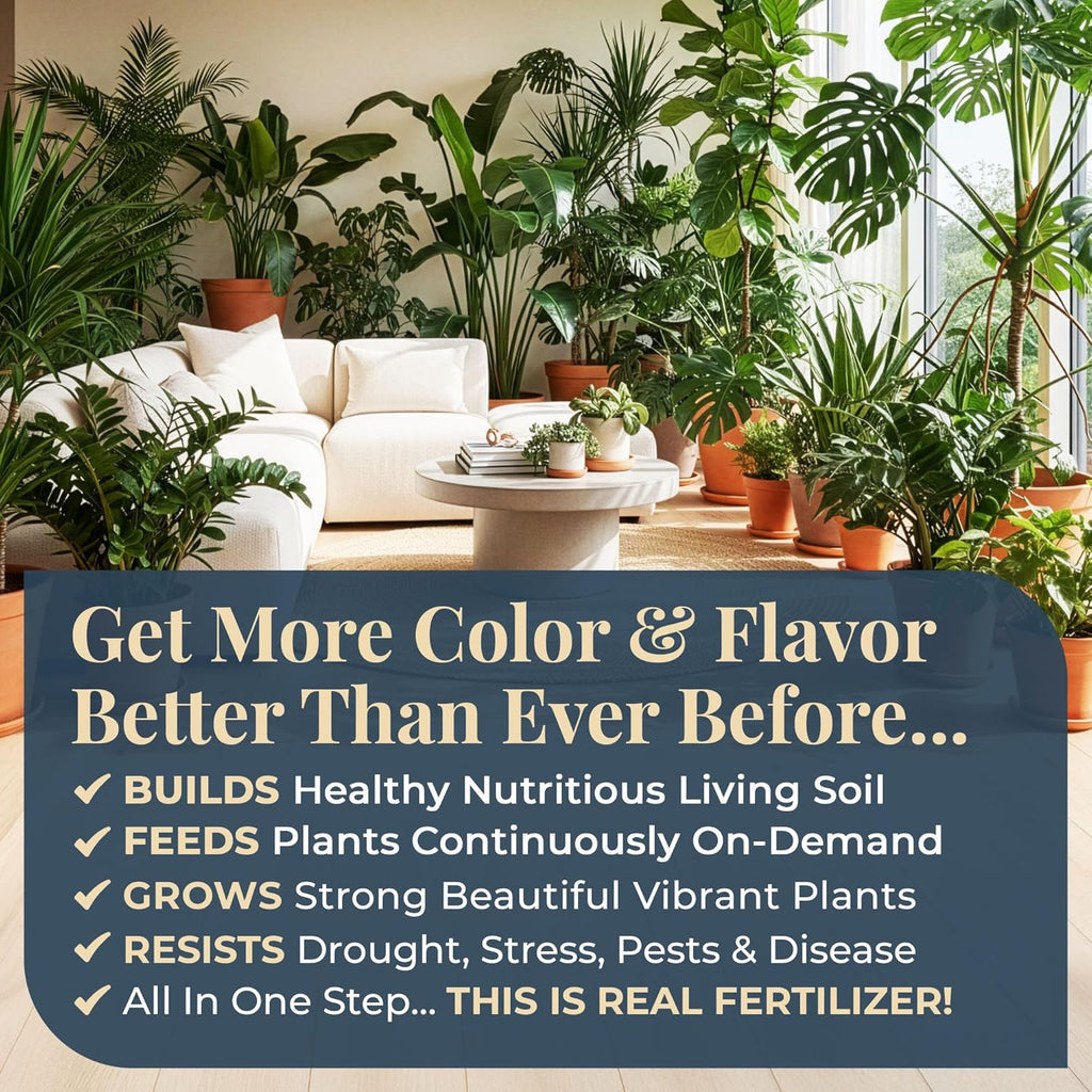 Organic Plant Magic Fertilizer & Plant Food For House Plants & Garden 1/2Lb | Makes 32+ Gallons Of Organic Fertilizer, Plant Food For Vegetables Flowers Herbs Trees Outdoor & Indoor House Plants & Garden