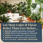 Organic Plant Magic Fertilizer & Plant Food For House Plants & Garden 1/2Lb | Makes 32+ Gallons Of Organic Fertilizer, Plant Food For Vegetables Flowers Herbs Trees Outdoor & Indoor House Plants & Garden