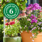 Osmocote Smart-Release Plant Food Plus Outdoor & Indoor1, 2 Lb. | Granular, Continuous Release Plant Fertilizer With 11 Essential Nutrients