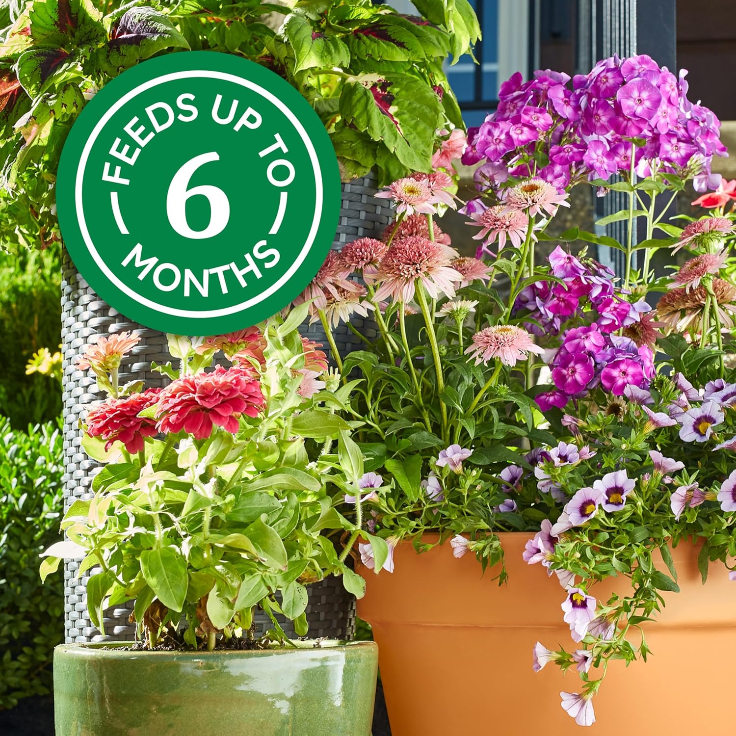 Osmocote Smart-Release Plant Food Plus Outdoor & Indoor1, 2 Lb. | Granular, Continuous Release Plant Fertilizer With 11 Essential Nutrients