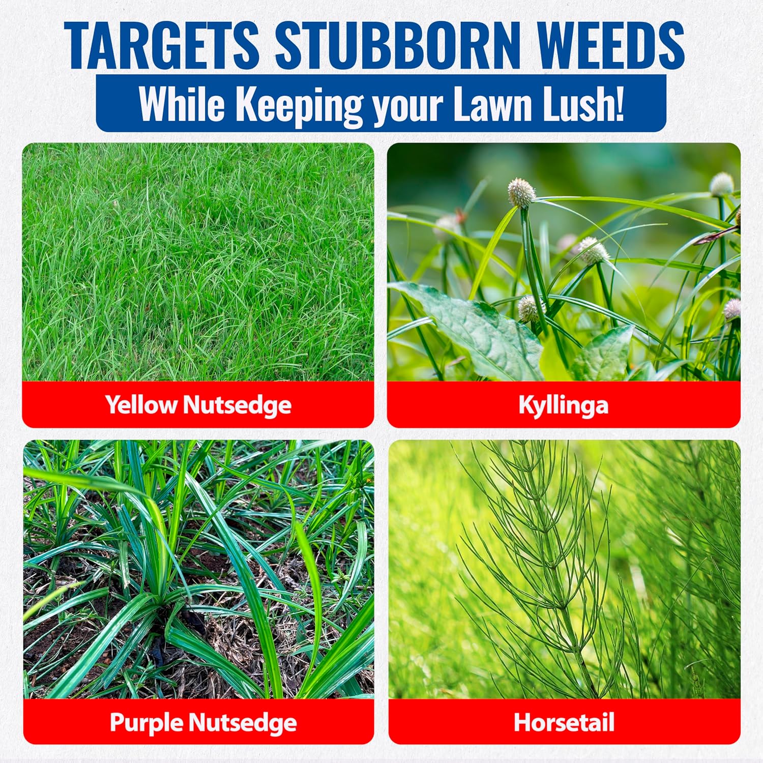 Sedgehammer 51516 Nutsedge Killer & Herbicide - Kills Yellow Nutsedge, Purple Nutsedge & Green Kyllinga, Selective Weed Killer For Lawns, Gardens & Landscapes