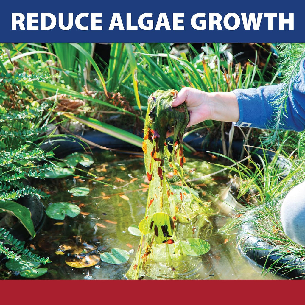 The Pond Guy Instafix Algae Control Liquid Algaecide, 16 Ounce | Epa Registered Algae Solution For Outdoor Water Gardens, Fountains & Birdbaths; Controls Green Water & String Algae