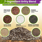 Succulents Soil Potting Mix – 7 In 1 Ingredients Well-Draining, Nutrient-Rich Cactus Potting Soil For Succulents And Cacti, Indoor & Outdoor Use, Ready To Use, Supports Healthy Root Growth, 1Qt