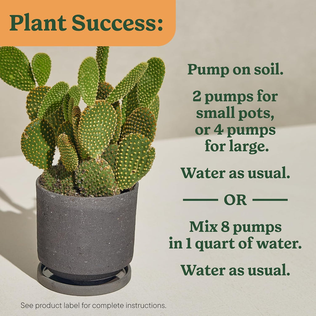 Miracle-Gro Indoor Plant Food For Cactus & Succulent, 8 Fl. Oz. (2-Pack) | Liquid Plant Food For Indoor Succulents And Cactus