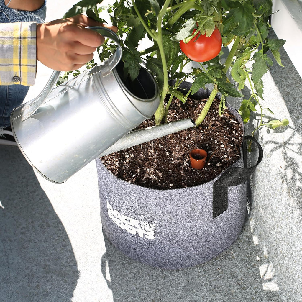 Back To The Roots Self-Watering Terracotta Olla Pot (Pack Of 3), 700Ml Provides 1 Week Of Precision Watering