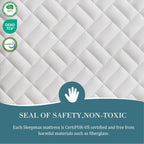 Sleepmax Extra Firm Queen Mattress 12 Inch - Deep Sleep Hybrid Mattress Enhanced Pain Relief - Cooling Bed In A Box For Back & Side Sleepers - Fiberglass-Free, Certipur-Us Certified, 365-Night Trial