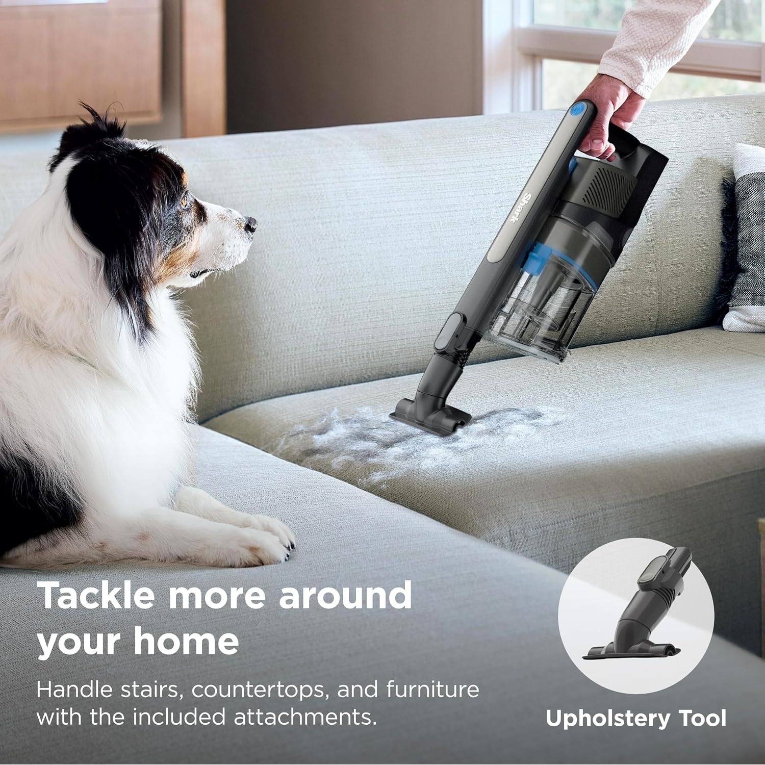 Shark Powerpro Reveal Plus Cordless Vacuum Cleaner - Charcoal - Iz376H