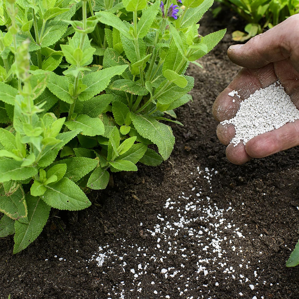 Jobe'S Organics Garden Lime, Lime Powder Soil Amendment For Lawns, Plants, And Gardens, 6 Lbs Bag