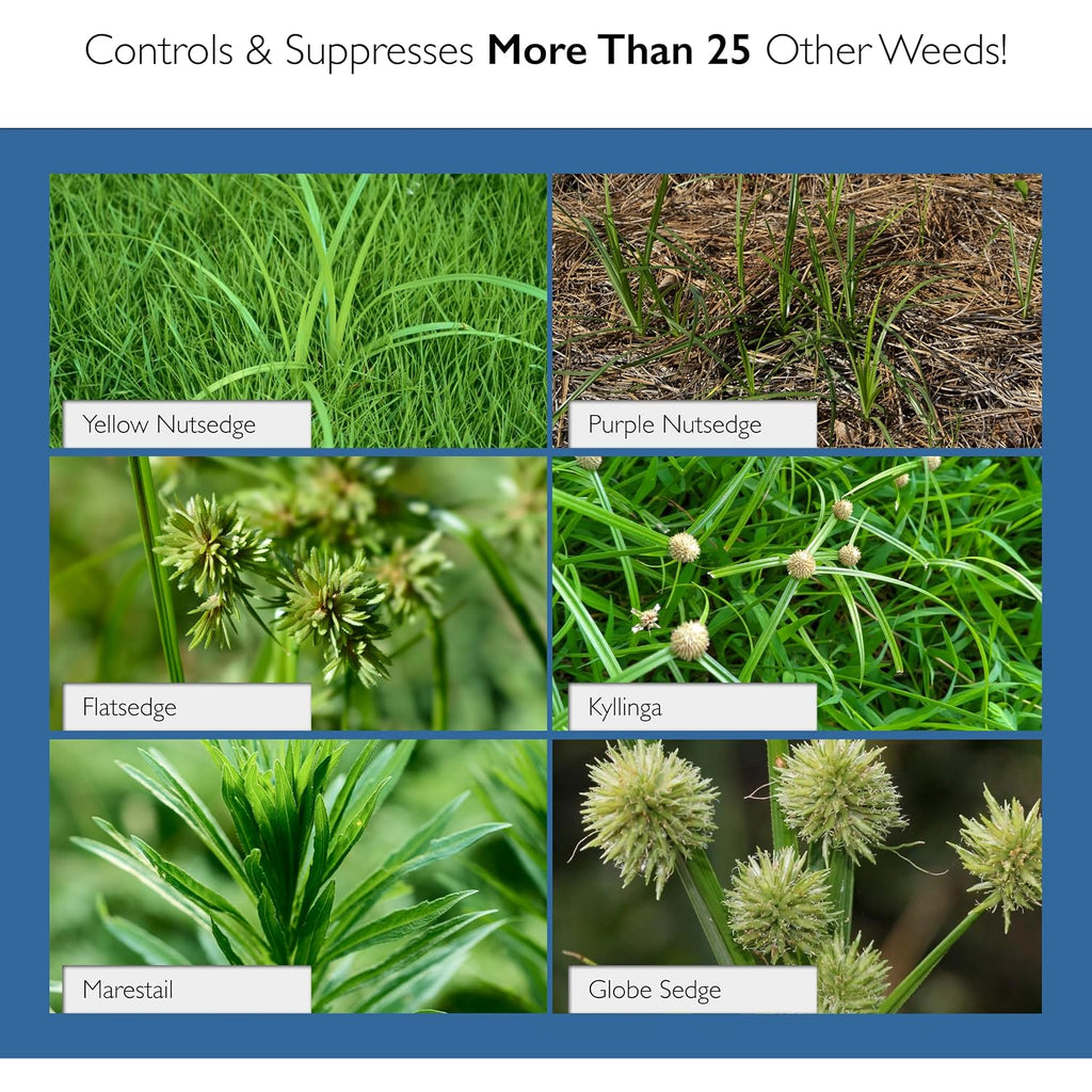 Sedgehammer Plus Turf Solution 13.5Grams – Powerful Nutsedge Control For Lawns, Golf Courses, & Sports Fields – Reliable Vegetation Management Solution