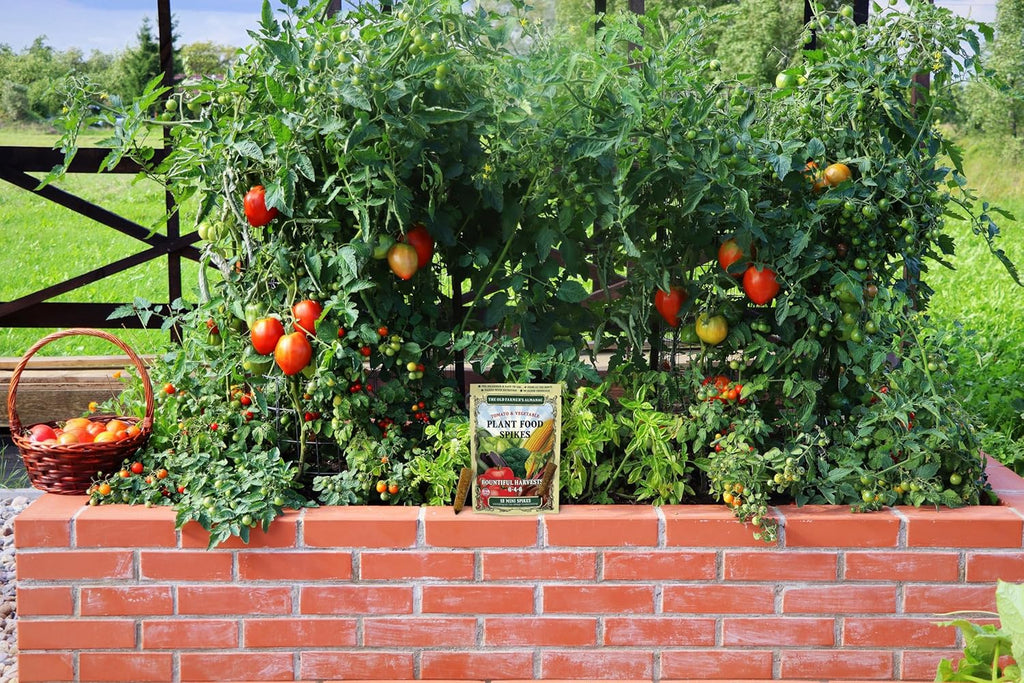 The Old Farmer'S Almanac Tomato & Vegetable Plant Food Mini Spikes - Npk 6-4-6 For Continuous Feeding And Bountiful Harvests (24 Mini Spikes)