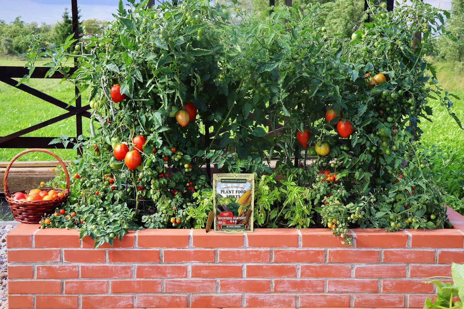 The Old Farmer'S Almanac Tomato & Vegetable Plant Food Mini Spikes - Npk 6-4-6 For Continuous Feeding And Bountiful Harvests (24 Mini Spikes)