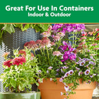 Miracle-Gro Pour & Feed Plant Food, 32 Fl. Oz. | Outdoor And Indoor Plant Fertilizer For Containers, Instantly Feeds