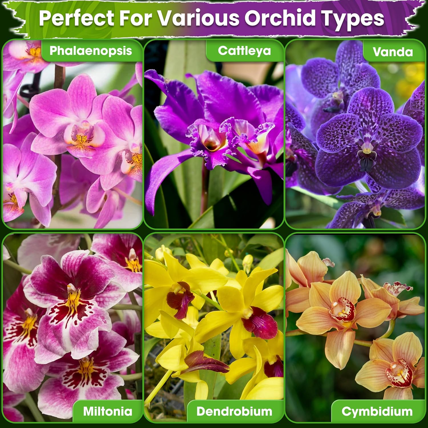 4In1 Orchid Potting Mix For Repotting, Pre-Mixed & Ready To Use, 1Qt | Forest Moss, Pine Bark, Perlite & Pumice, Professional Blend, Drainage & Airflow, Upgraded Formula