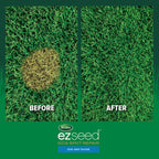 Scotts Ez Seed Dog Spot Repair Sun And Shade, 2 Lbs. | Combination Mulch, Grass Seed Mix And Soil Amendment To Neutralize And Repair Pet Spots