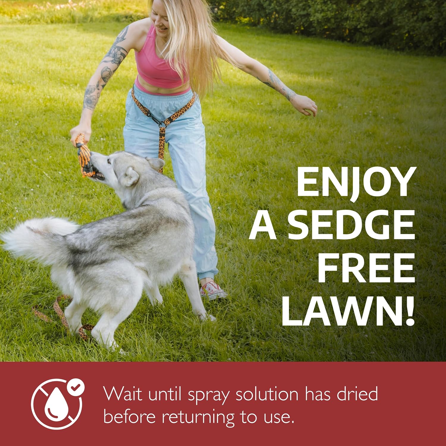 Sedgehammer Plus Turf Solution 13.5Grams – Powerful Nutsedge Control For Lawns, Golf Courses, & Sports Fields – Reliable Vegetation Management Solution