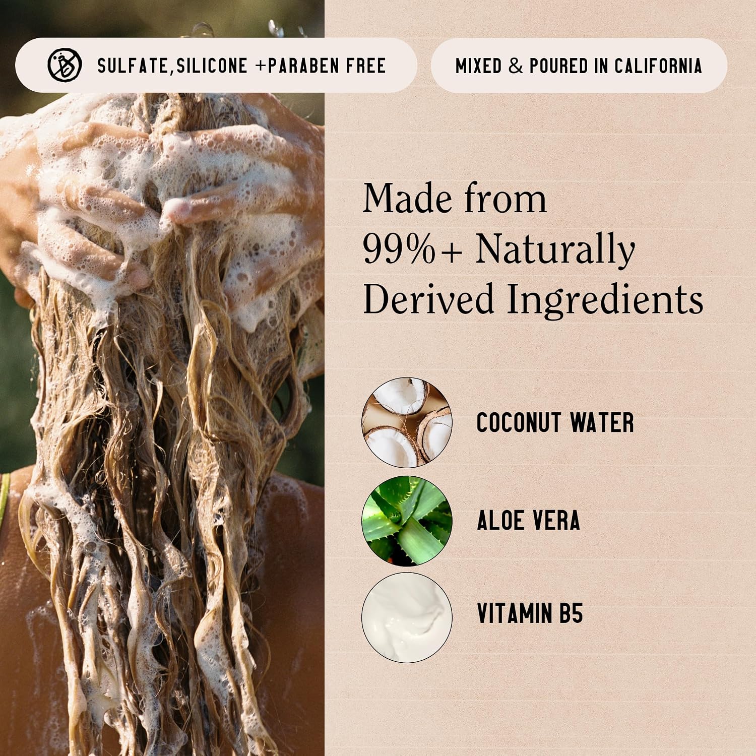 California Naturals Classic Clean Toasted Coconut Shampoo, Sulfate Free, Coconut Cleansing Complex, Natural, Vegan, Cruelty, Silicone, And Paraben Free, All Hair Types, 20 Fl Oz