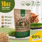 Cat Grass Seeds Mix - 20,800 Non-Gmo Heirloom Seeds For Cats & Pets, 16 Oz Pack For Growing Fresh Barley, Oat, Rye & Wheat Grass Seeds For Planting, Indoor Plants, Hairball Remedy