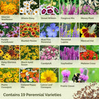 Eden Brothers All Perennial Wildflower Seed Mix For Planting, 1/4 Lb, 120,000+ Seeds Throw And Grow 19 Flower Varieties, Non-Gmo Covers To 1,000 Sq Ft, Attracts Pollinators, Spring Or Fall, Zones 3-10