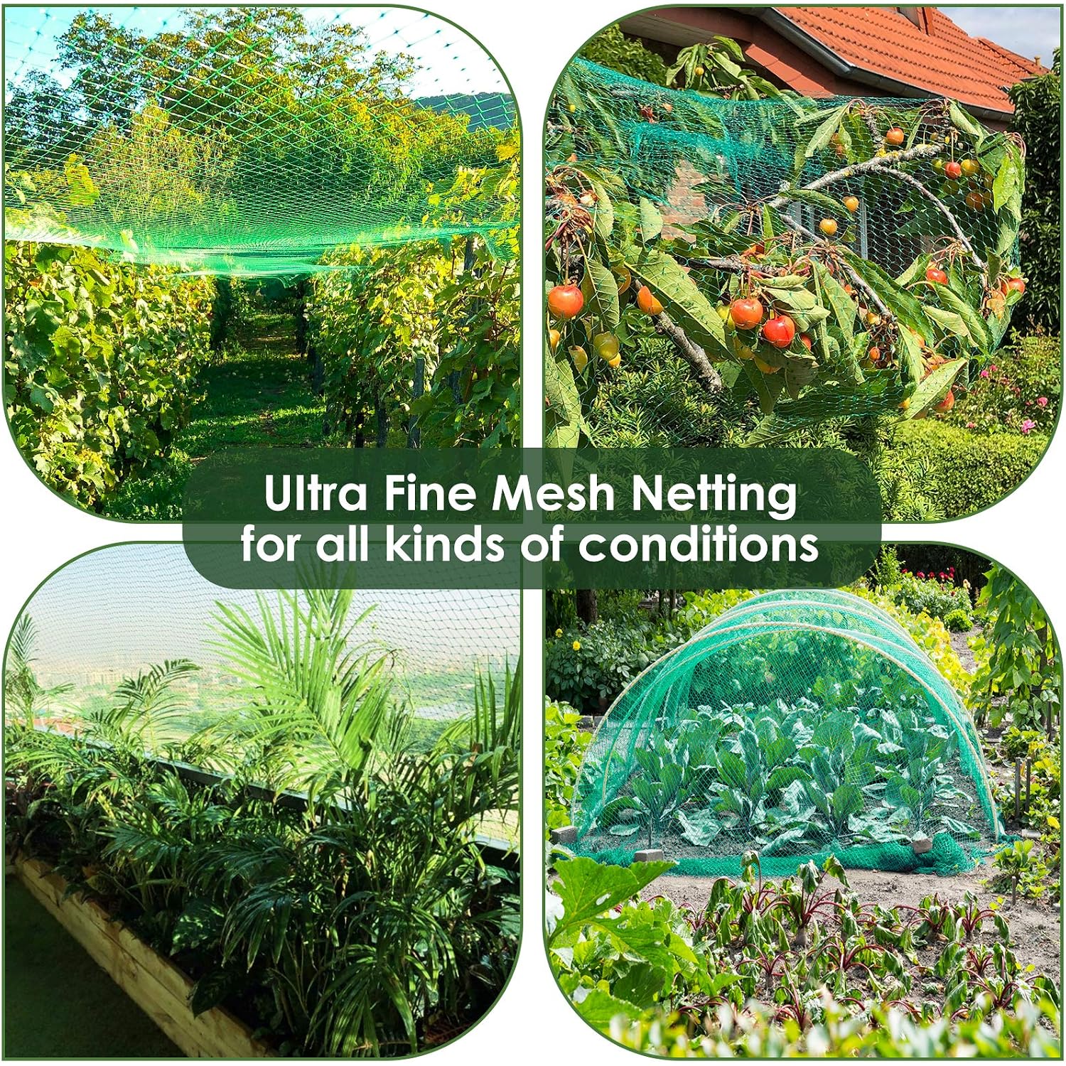 Ruolan Bird Netting For Garden Protect Vegetable Plants And Fruit Trees13X20Ft,Plastic Trellis Netting For Birds, Deer,Squirrels And Other Animals