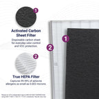 Genuine Winix 115115 Replacement Filter A For C535, 5300-2, P300, 5300, White/Black
