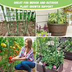 6-Pack Tomato Cage For Garden Plant Support- Up To 48Inch Garden Stakes Tomato Cage, Tomato Trellis For Potted Plants, Tomato Cages Plant Stakes For Climbing Vegetables Plants Flowers