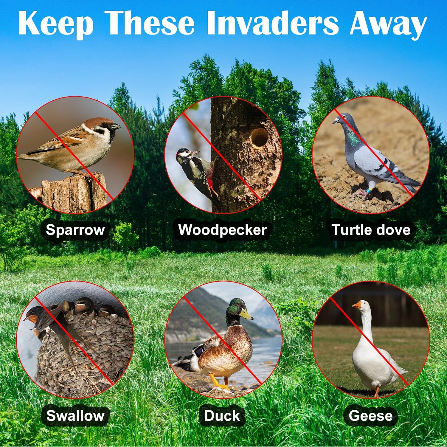 [492Ft] Effective Birds Scare Ribbon, Reflective Flash Reflectors To Keep Pigeons, Hawks, Woodpeckers, Geeses Away From Trees Plants Crops