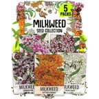 Seed Needs Milkweed Seeds For Planting A Butterfly Garden To Attract Monarch Butterflies - Collection Of Pink, Orange & White Asclepias Milk Weed Variety Pack (5 Packs)