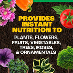 Pennington Water Soluble All Purpose Plant Food 20-10-20-1.5 Lb