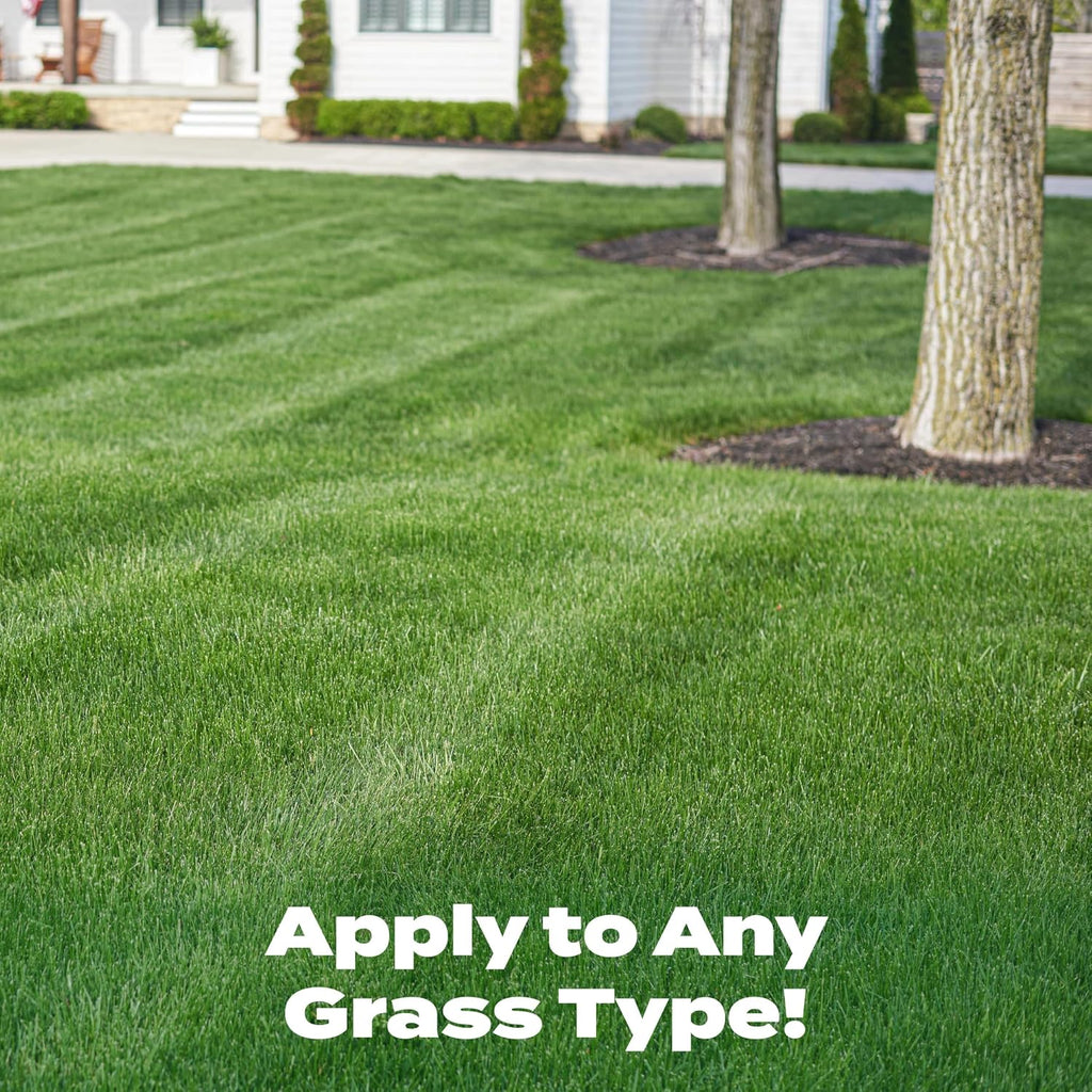 Scotts Liquid Turf Builder Lawn Food, 2,000 Sq. Ft. | Feeds And Waters Lawn At Same Time