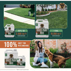 Petramax Green Grass Paint For Lawn Dye - Maintain Turf Or Green Grass, Spray Paint For Lawn & Shrubs Easy Spray, Pairs W/Petra Sprayer - Touch Up Dog Spots - Pet Safe (Premium, 32 Oz)